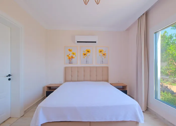 Belis 别墅 费特希耶